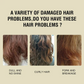 Promotional graphic for hair care product showing damaged hair types with text asking if you have similar issues.
