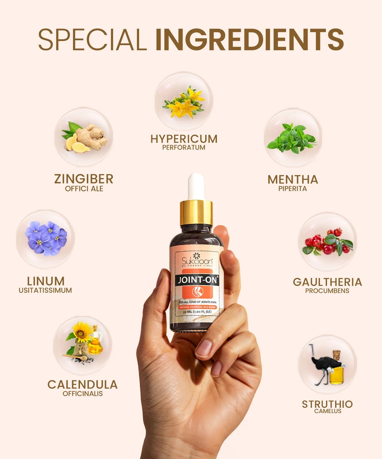 Joint On Oil – Knee & Back Pain Relief Anglic